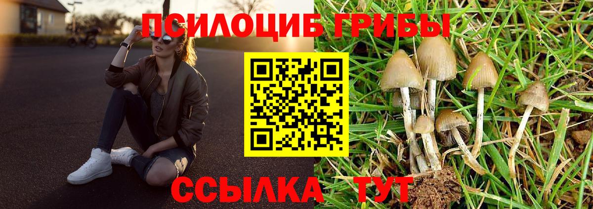 Псилоцибиновые грибы мухоморы Мурино